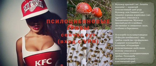 таблы Горнозаводск